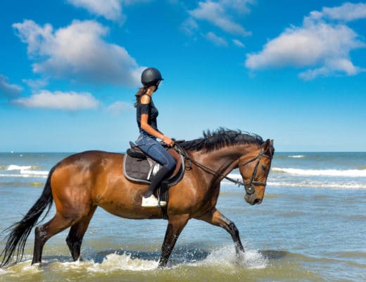 Horseback Riding in ocean shores wa